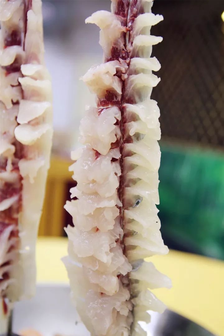 开云电竞app下载安装