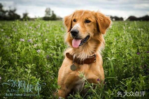 开云电竞app下载安装